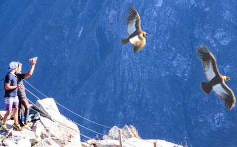 Full day tour to Condor Viewpoint at Chonta Peru